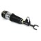 Arnott AIR SUSPENSION STRUT AS-3363 - alternate 4